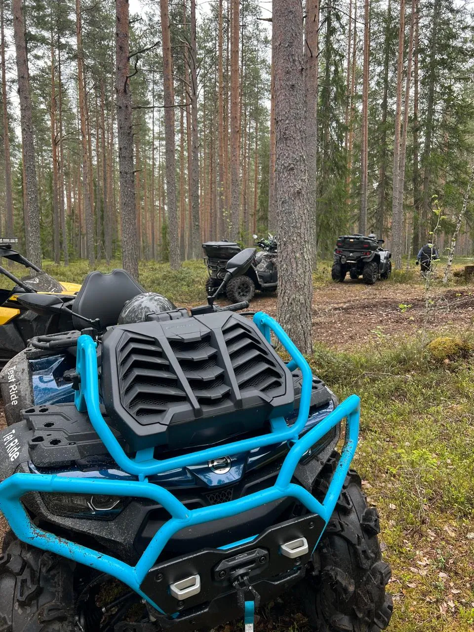 Квадровыезд CFMOTO: Всплеск адреналина и красоты природы!