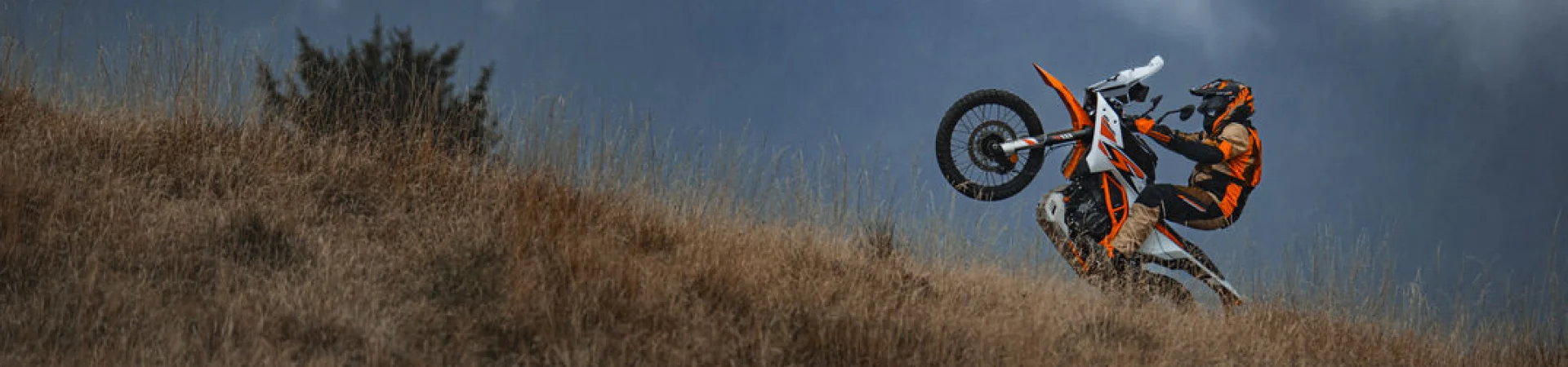 KTM 390 ADVENTURE R